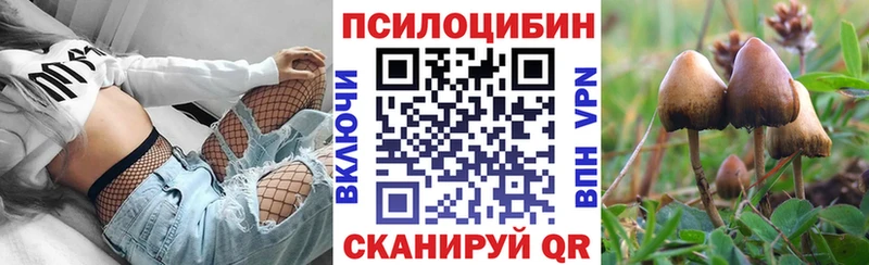 Псилоцибиновые грибы Psilocybe даркнет формула Отрадное закладки