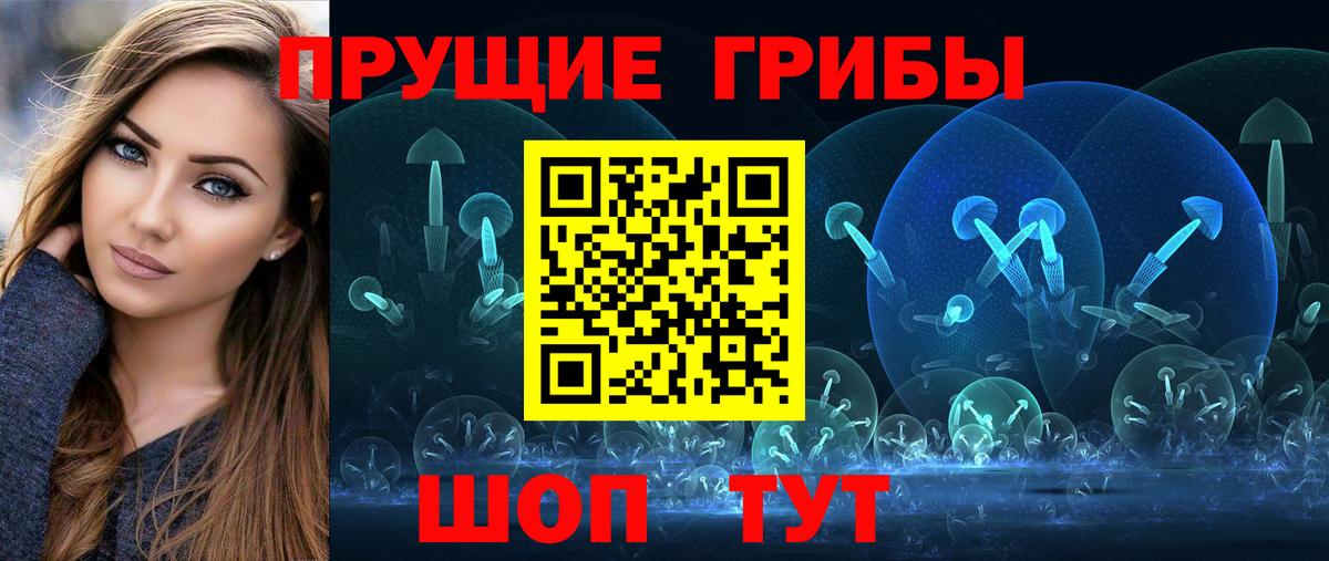 Отрадное  Псилоцибиновые грибы GOLDEN TEACHER  Вход с VPN  Псилоцибиновые грибы GOLDEN TEACHER 