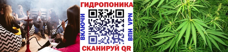 Марихуана план Отрадное